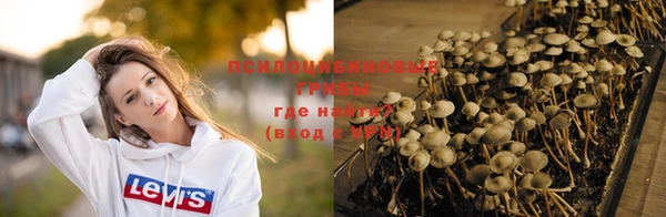 бошки Верхнеуральск